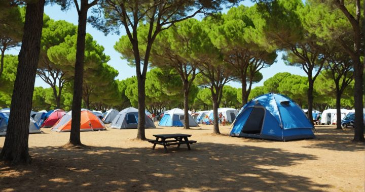 Découvrez le camping ile de ré : détente et activités en famille